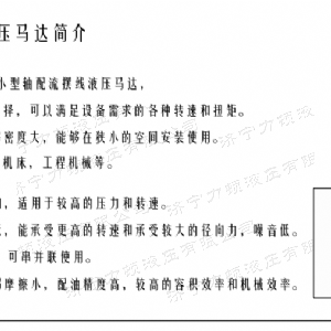 开云kaiyun（中国）侧油口系列马达
