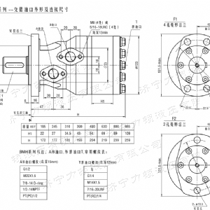 BMH系列交错油口开云官方注册马达